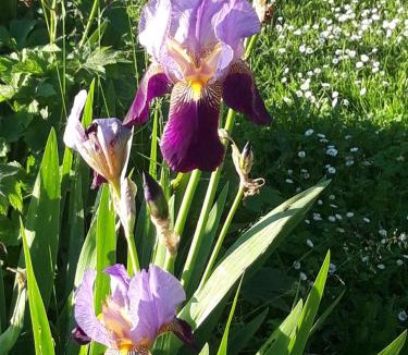 Fontcouverte Bed & Breakfast | Fontcouverte