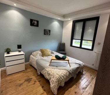Maisdon-sur-Sevre Apartment | Spa relaxing
