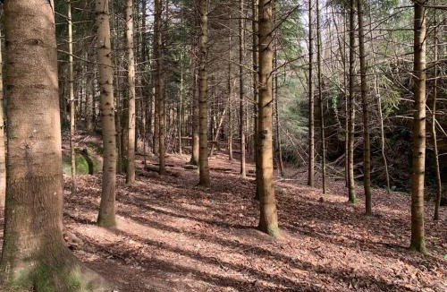 Bugarach House | Bugarach, la Parenthèse...