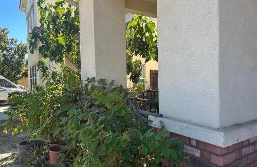 Los Serranos House | Comfort vacancy
