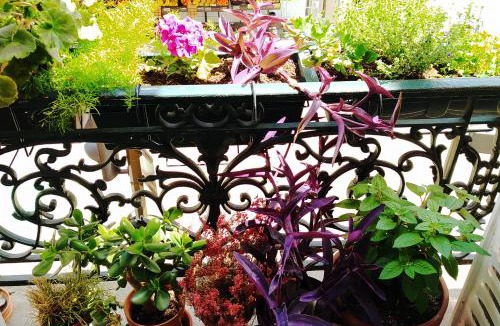 Prince–Marmottan Apartment | Cosy 3 rooms Appartement Paris Boulogne near Roland Garros, 70m2