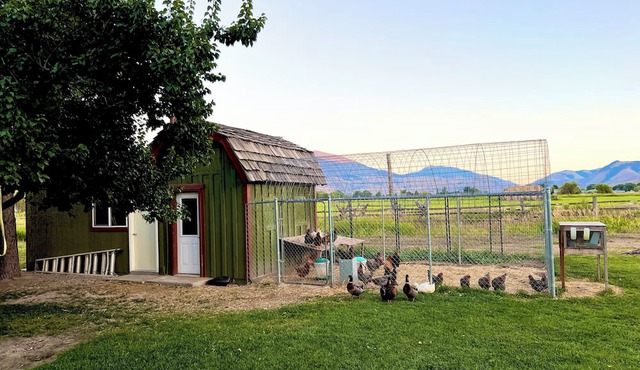 Mountain getaway on a private culdesac, 360 views out large windows.