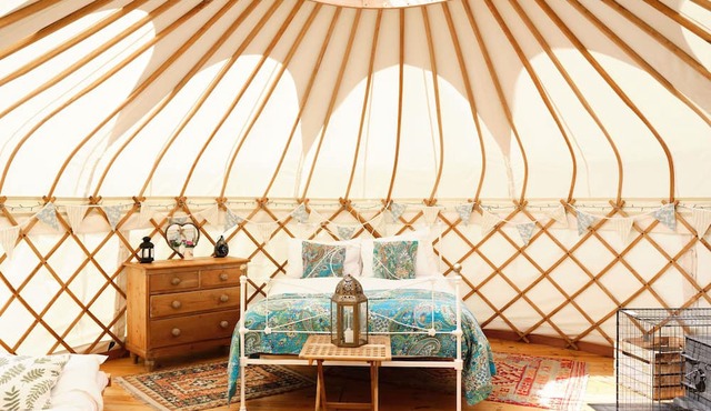 Yurts Cornwall - Tremeer Farm