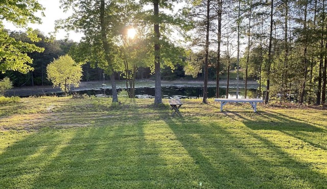 Stay and Play! Country Cottage Getaway with PRIVATE 3 Acre Swimming Pond
