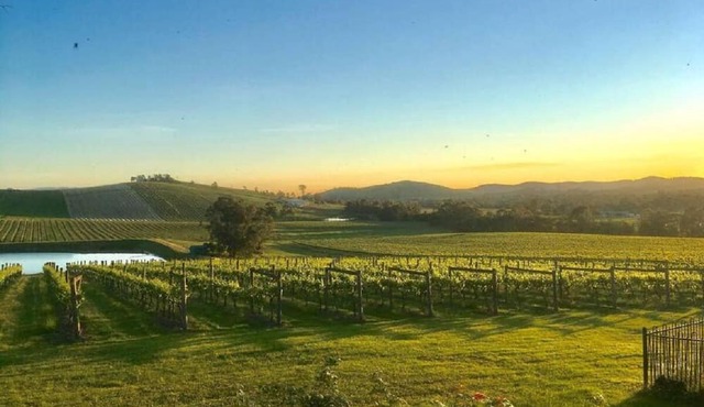 Mt Hope Estate Vineyard Accomodation