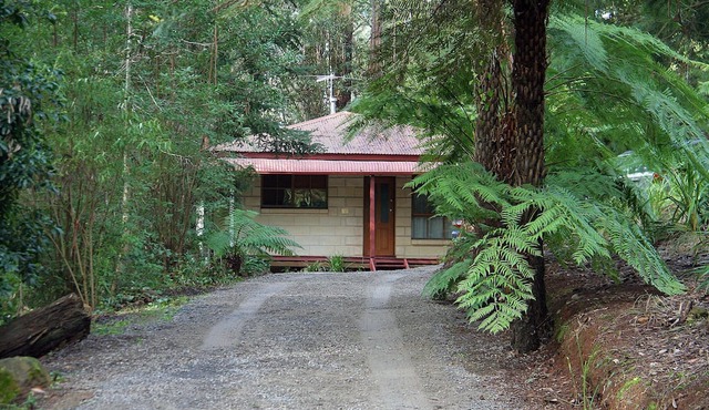 Brook Cottage. 7 Acre Rain Forest Paradise