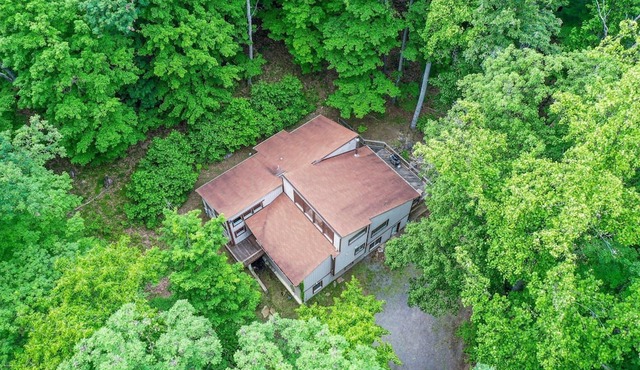 Turtle Pond- The cabin with it all!