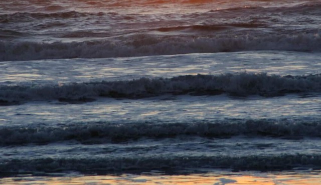 Carefree Days at The Beach