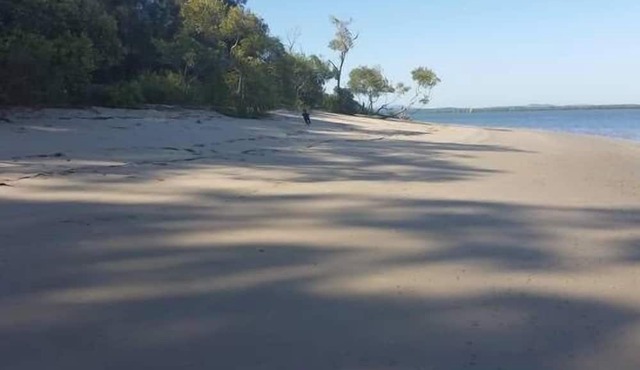 Pet and Family Friendly Peaceful Island W'front home, crabbing, kayaking, bikes