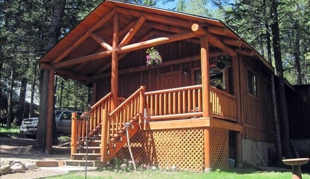Cozy Guest Cabin by Henry's Lake & Near Yellowstone