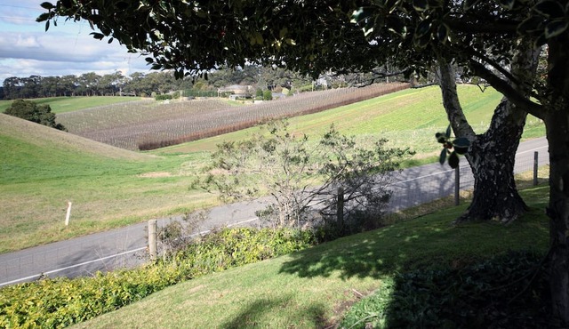 Heysen Hideaway - Adelaide Hills