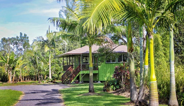 Secluded garden bungalow in the jungle