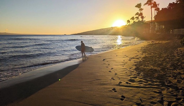 Oceanfront Lauloa 106 - Ground Floor, Modern Renovation, Split-ac, Walk to Beach