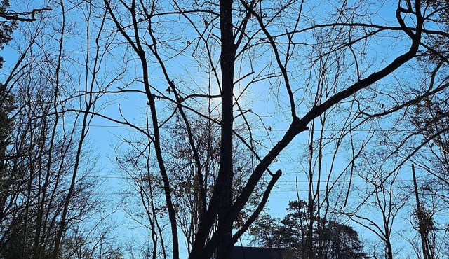 Charming 2-bedroom cabin only a few minutes from downtown Roanoke attractions.