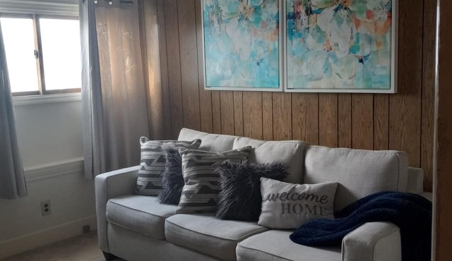 Enjoyable 1-bedroom apartment in Historical Waukegan. IL with Wi-Fi.