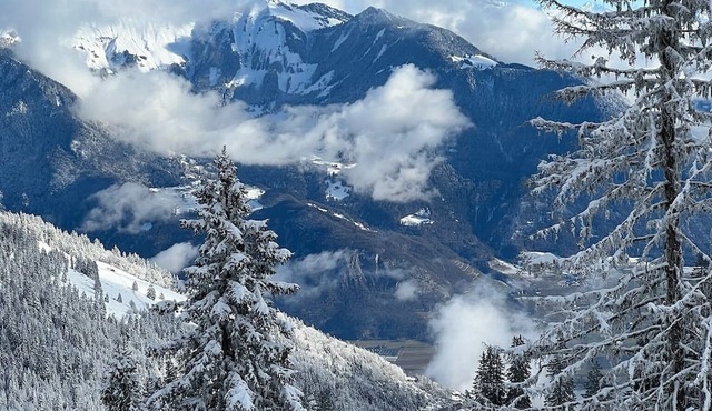 1 Bedroom Apartment with Terrace