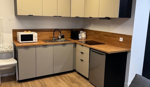 Charming studio with garden level between Lyon and Vienne