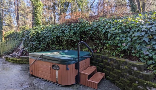 Cozy cabin in enchanting Colfax with AC, WiFi, Jacuzzi, private back deck