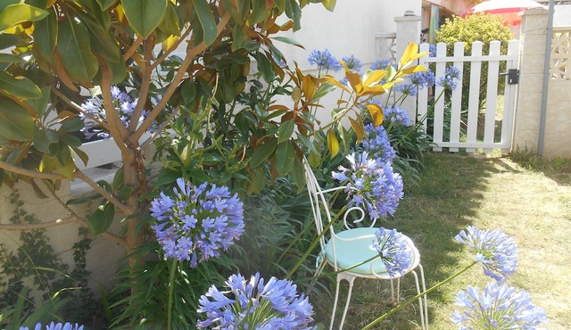 3 minutes walk from the beach, lovely studio with garden climate