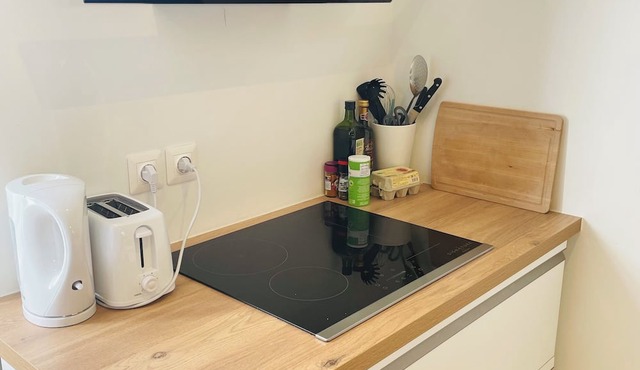 Apartment in the town center at the foot of the Vercors and Chartreuse mountains