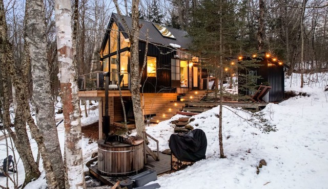 Secluded Lakefront Treetop Cabin with Nordic Spa