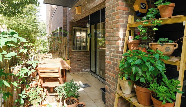 Spacious home with a touch of wilderness at the heart of East London.