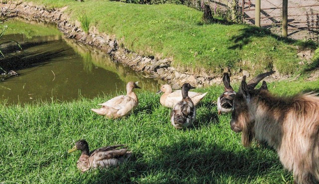 3 bedroom accommodation in Kings Nympton, near South Molton