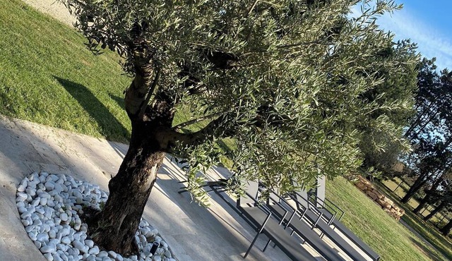 Charming bed and breakfast in an exceptional setting.!