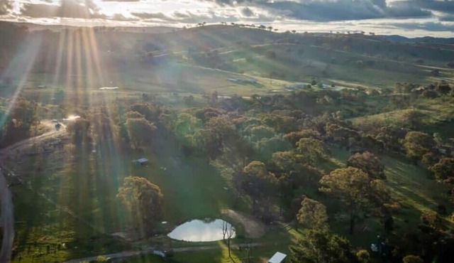 Dream Alpaca Farm - A Windeyer Outback Experience