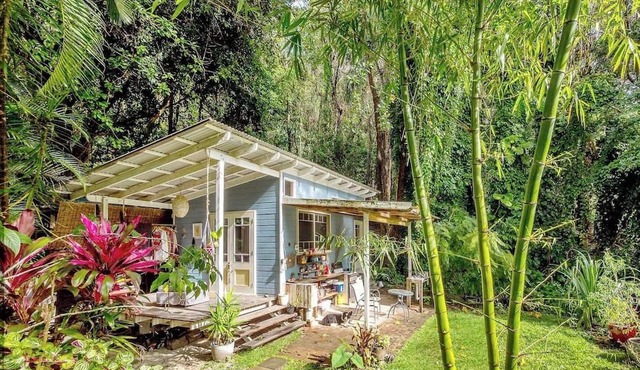 Cabin the Near the Sea