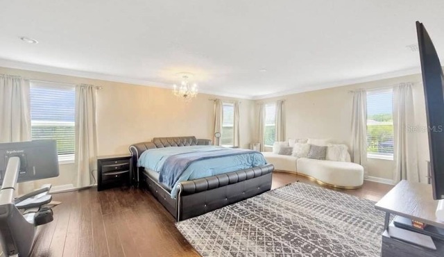 Spacious 6 bedroom house with pool and grotto, movie theater room, AC and Wifi.