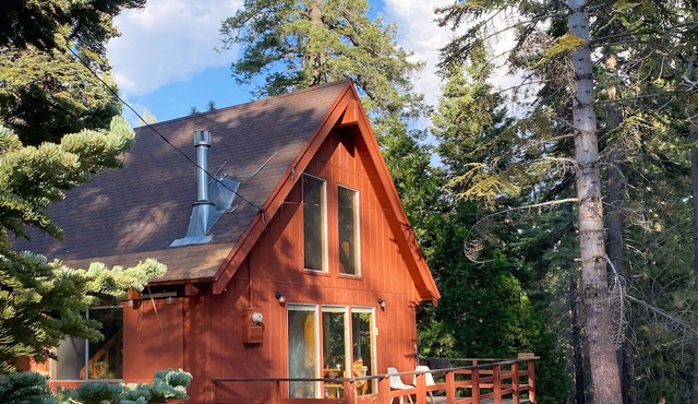 Chalet Sequoia - modern newly renovated cabin in Sequoia Nat Forest