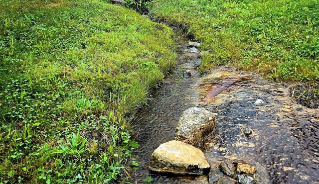 Peaceful campsite with WiFi in Washington