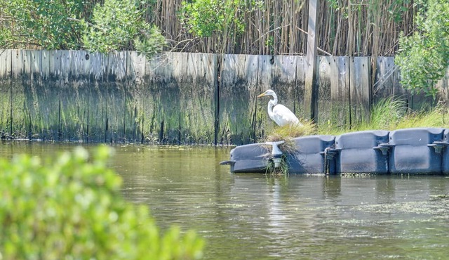 Hamptons Retreat w/Private Dock, Kayak & Canoe!