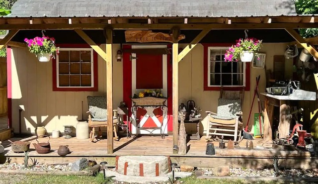 Cozy 200 ft tiny house with WiFi, AC, located in nature and close to so much.