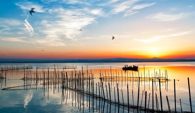 Suite Superior con Vistas Albufera Dreams Nature Suites