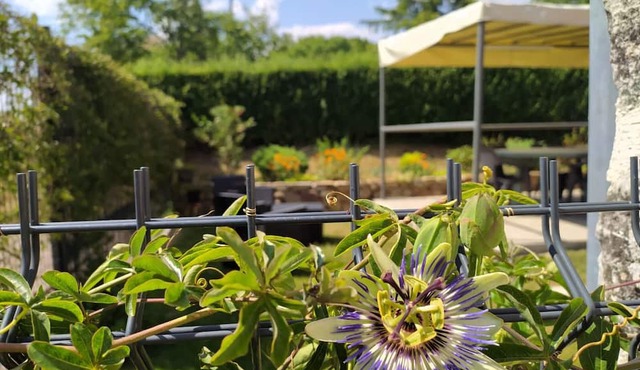 Gite Nohant-Vic, 4 bedrooms, 11 persons