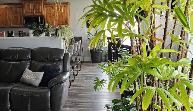 Cozy family friendly 5 bedroom home 10 min drive from Camplex