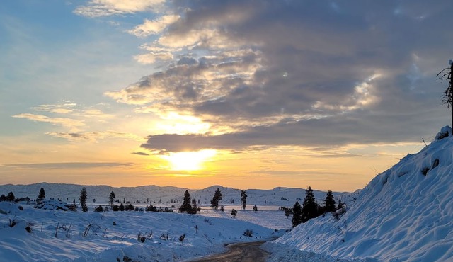 Cabin retreat outside of Omak! Hunter's dream and offroad enthusiasts paradise!