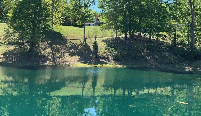 Cozy Couples Cabin in Jackson with AC and fully stocked fish pond for your use