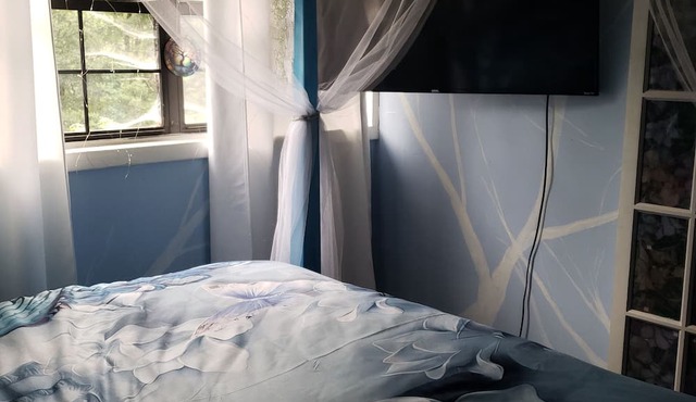 Riverdell Arts Treetop Room