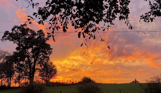 Farm Stay - Spend the night in a converted grain silo on a working tree farm!