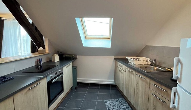 Spacious downtown apartment