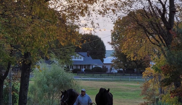 Horse Country Heaven