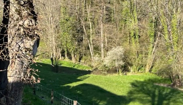 Appartement au Cœur du Jura