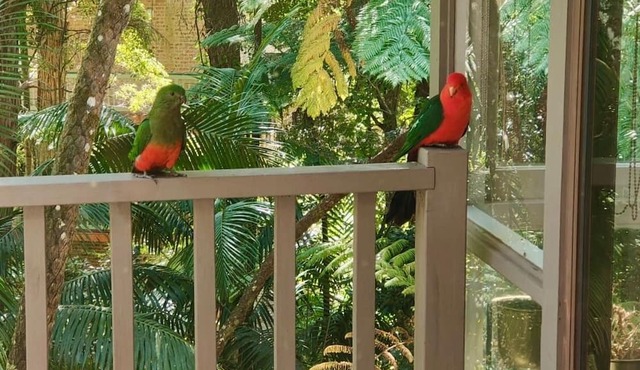 Natures Retreat Getaway your ideal staycation retreat