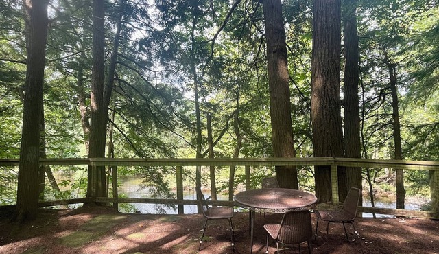 Rustic cottage surrounded by trees, overlooking a creek.