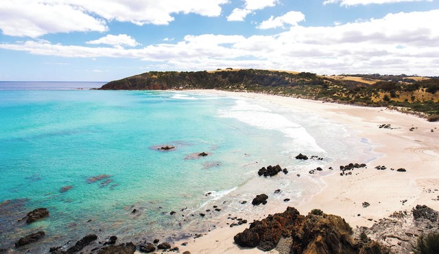 Large beachside Homestead, private apartments, fireplace, 3 min walk to beach.n