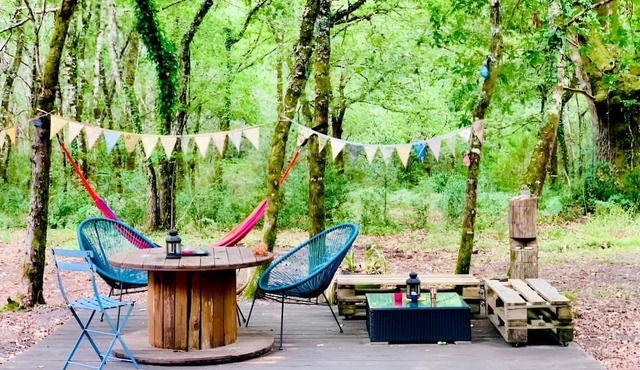 Into THE Wild : Notre "roulotte Cosy"