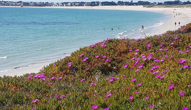 Finistere, Entre MER ET Monts, Maison Lumineuse